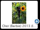 Cher (Barbie) 2013 (IMG 1266)