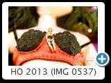 HO 2013 (IMG 0537)
