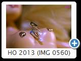 HO 2013 (IMG 0560)