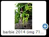 barbie 2014 (img 7117)