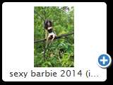 sexy barbie 2014 (img 7130)