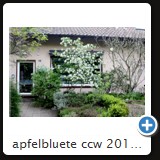 apfelbluete ccw 2010 16