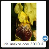 iris makro ccw 2010 4