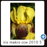iris makro ccw 2010 5