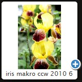 iris makro ccw 2010 6