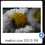 makro ccw 2010 96