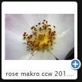 rose makro ccw 2010 0841