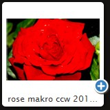 rose makro ccw 2010 0881