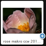 rose makro ccw 2010 0926