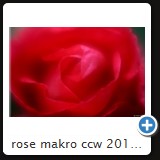 rose makro ccw 2010 11
