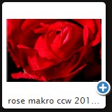 rose makro ccw 2010 12