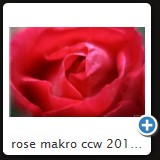 rose makro ccw 2010 14