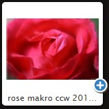 rose makro ccw 2010 16