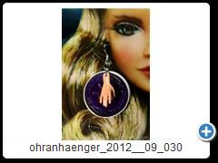 ohranhaenger_2012__09_030