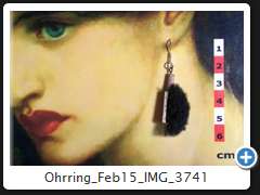 Ohrring_Feb15_IMG_3741