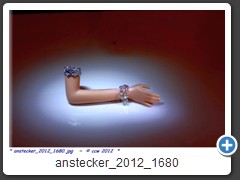 anstecker_2012_1680