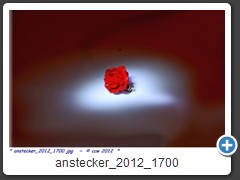 anstecker_2012_1700