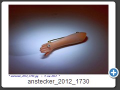 anstecker_2012_1730