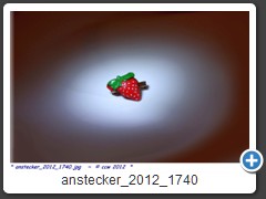 anstecker_2012_1740