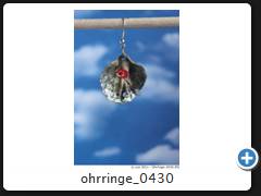 ohrringe_0430