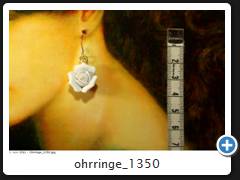 ohrringe_1350