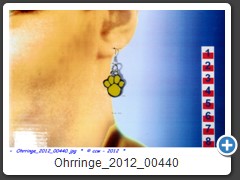 Ohrringe_2012_00440