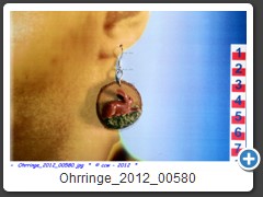 Ohrringe_2012_00580