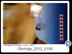 Ohrringe_2012_0190