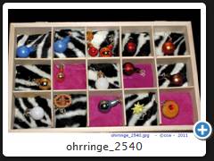 ohrringe_2540