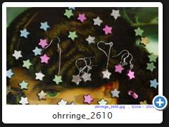 ohrringe_2610