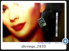 ohrringe_2830