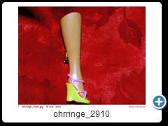 ohrringe_2610