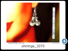 ohrringe_3070