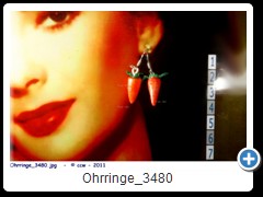 Ohrringe_3480