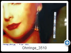 Ohrringe_3510