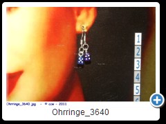 Ohrringe_3640