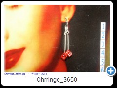 Ohrringe_3650