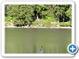 Caribbean_mummelsee_IMG_6363